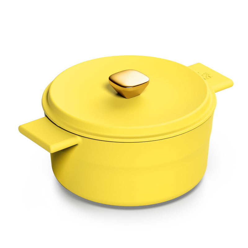 Dutch Oven Pot with Lid